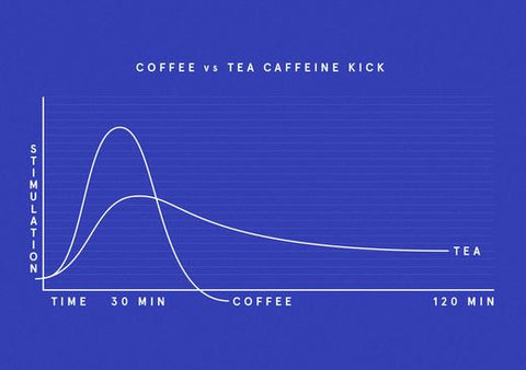 Caffeine in Tea vs Coffee