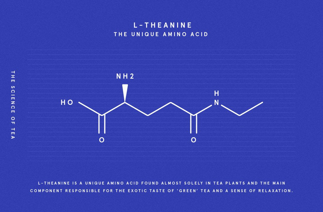 L-theanine, tea & relaxation