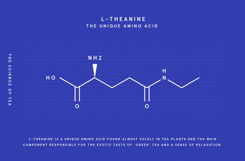 L-theanine, tea & relaxation