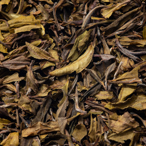 Bai Mu Dan - Aged White Tea (2019) from Temi Estate, Sikkim, India