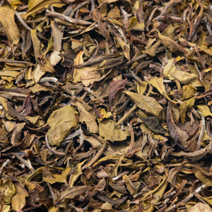 Bai Mu Dan - Aged White Tea (2021) Goom Estate, Darjeeling, India