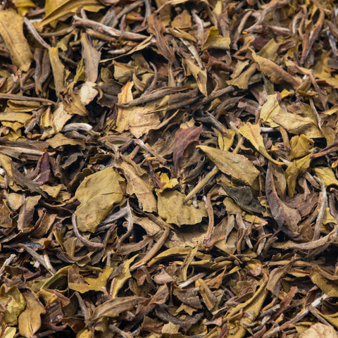 Bai Mu Dan - Aged White Tea (2021) Goom Estate, Darjeeling, India