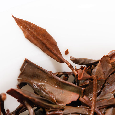 Japanese Black Tea - Benifukki Cultivar
