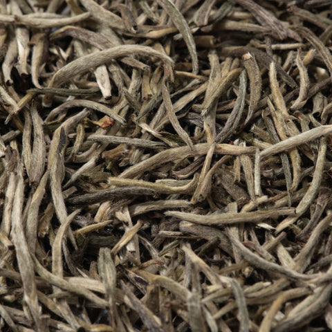 White Needle – Aged White Tea (2020)
