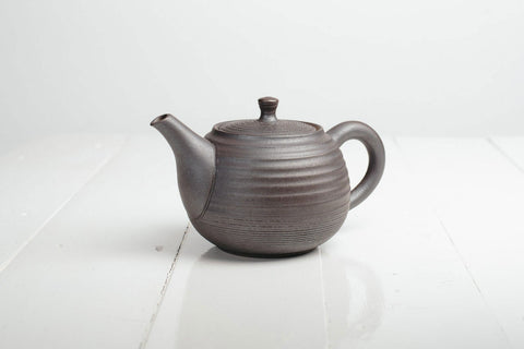 Japanese Style Teapot 300ml - Tokoname
